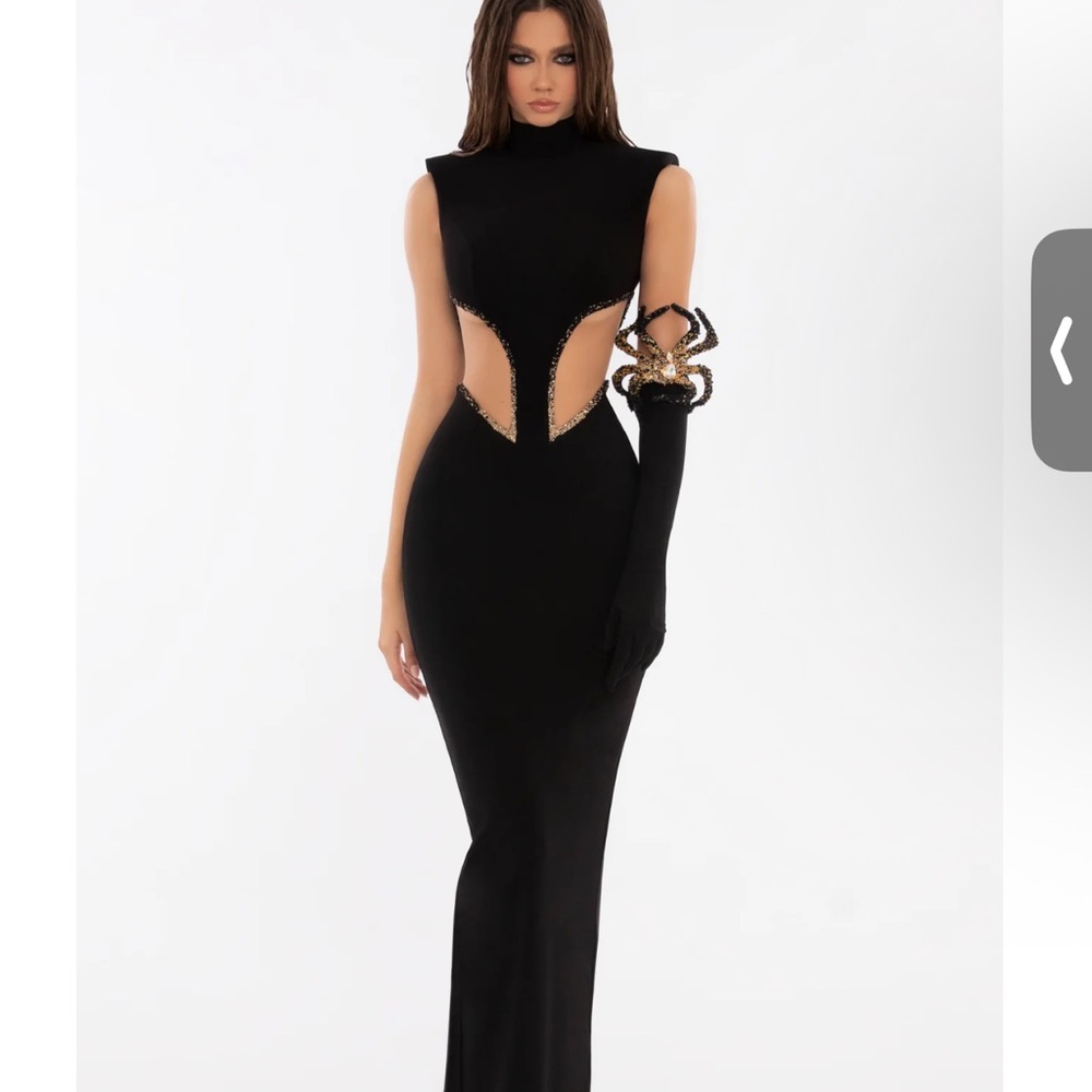 Albina Dyla Black Cutout Gown w/ Spider Glove | $950 Retail
